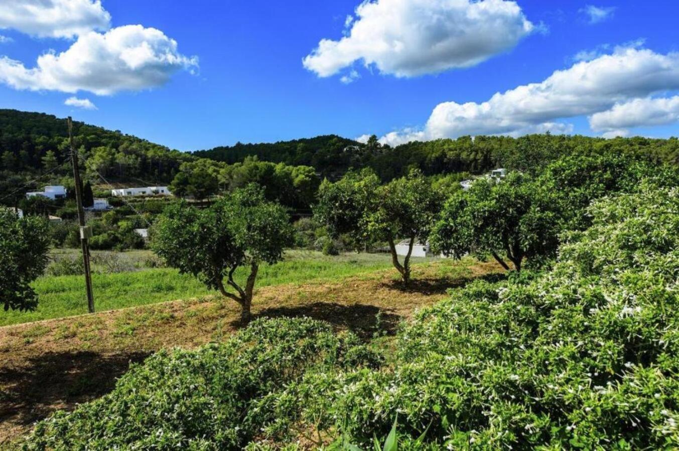 New! Villa Can Torres سانتا أيُلاريا ذيس ريو المظهر الخارجي الصورة